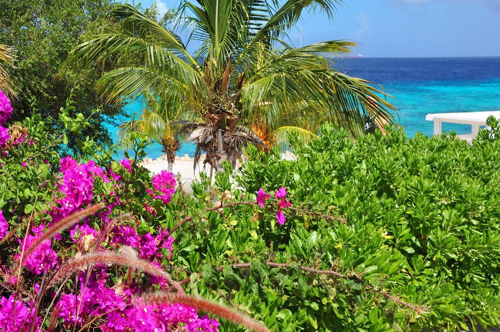 Hilltop Sea View , Boca Gentil Willemstad Extérieur photo